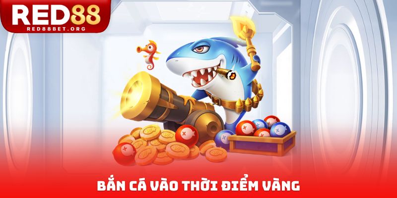 Bắn cá vào thời điểm vàng