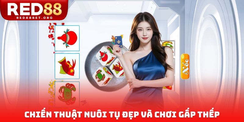 Chiến thuật nuôi tụ đẹp và chơi gấp thếp