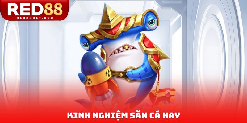 Kinh nghiệm săn cá hay